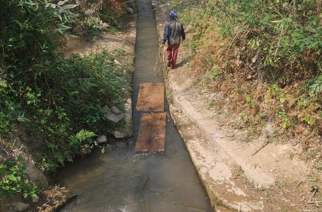 Nghệ An: Rừng chưa được bình yên